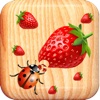 Bug Smashing - Save the Strawberry from the Bloons Bugs