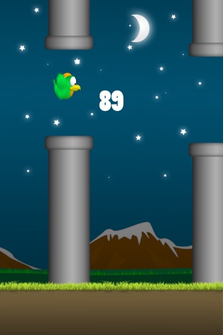 Aniak Bird screenshot 3