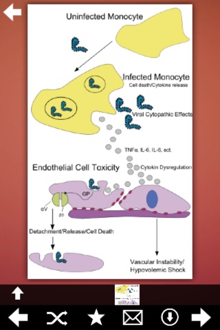 Ebola Virus Info screenshot 4