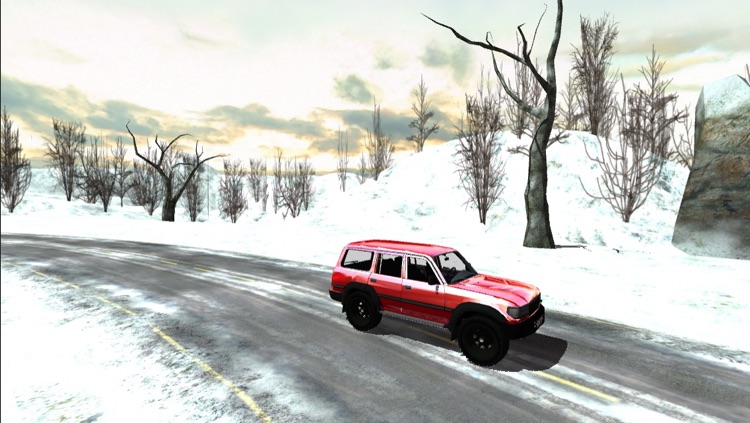 Car Race Winter