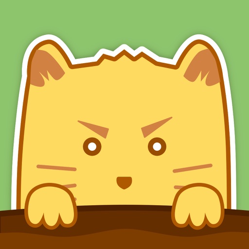 Tiny Bears iOS App