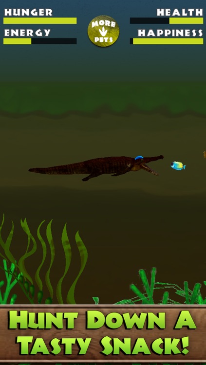 Virtual Pet Crocodile