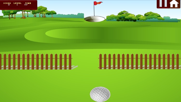 Golf Master - Be The Flick Star In A Mobile Mini Game screenshot-4