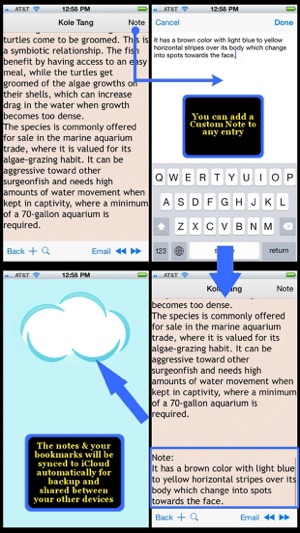 Marine Fish Bible+(圖4)-速報App