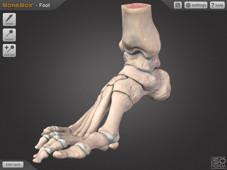 BoneBox Foot