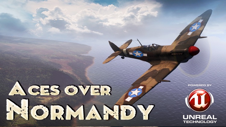 Aces over Normandy. Combat Flight Simulator