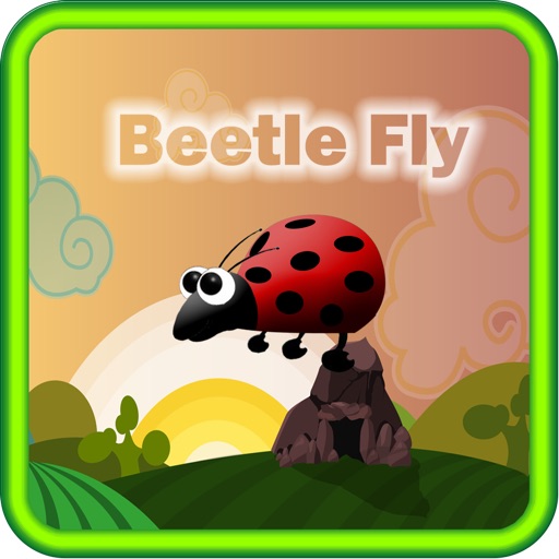 Beetle fly icon