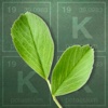 Alfalfa Potassium Uptake Calculator