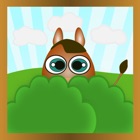 Hiding Animals