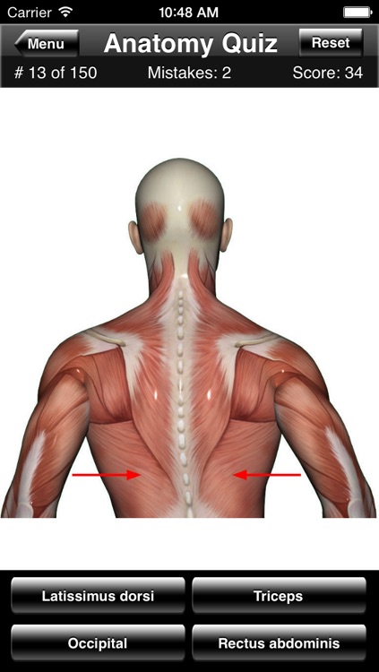 Anatomy Quiz screenshot-3
