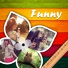 Funny Collage, Magic Collage, 趣味拼图