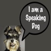 Speaking Dog