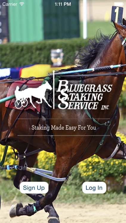 Bluegrass Staking