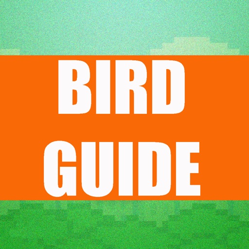 Guide and Training App 2 for All Tiny Flappy Bird Games by CartoonMobile