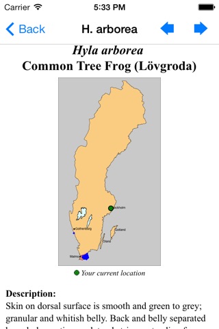 Reptiles and Amphibians of Sweden screenshot 2