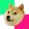 Doge Tap Colors