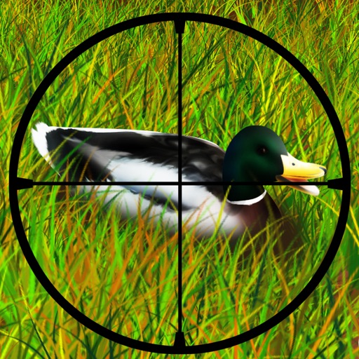 Duck Hunting : The after Deer season Hunt in Grand Park Forest - Free Edition iOS App