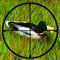 Duck Hunting : The after Deer season Hunt in Grand Park Forest - Free Edition