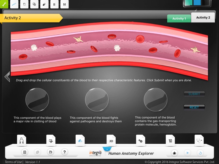 Human Anatomy Explorer - Circulatory System screenshot-3