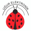 Uğur Elektronik