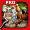 Hidden Object Animal Story Pro