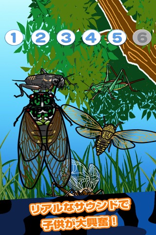 さわってあそぼ！昆虫タッチ - 知育アプリ-のおすすめ画像3