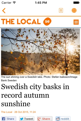 The Local Reader screenshot 4