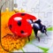 If your kids like fun animal games and jigsaw puzzles, they will LOVE this free puzzle filled with cool insect pictures