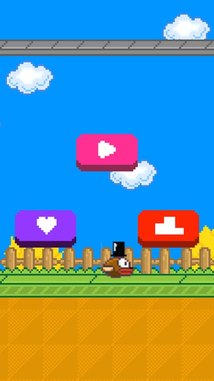 Snappy Bird: Save Coins