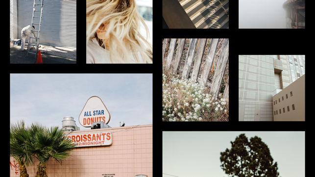 ‎VSCO: AI Photo & Video Editor Screenshot