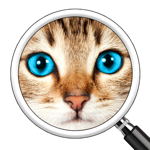 Gissa bilden! 2 ~ Gratis ordspel на пк