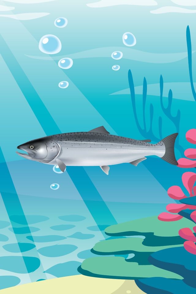 Marketable Fish Flashcards: English Vocabulary Learning Free For Toddlers & Kids! screenshot 4