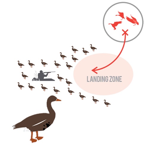 Greylag Goose Hunting Diagram Builder for Goose Hunting