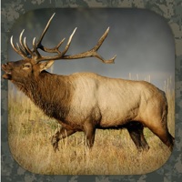 Elk Hunting Calls apk