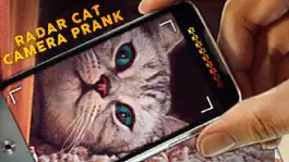 Game screenshot Radar Cat Camera Prank mod apk