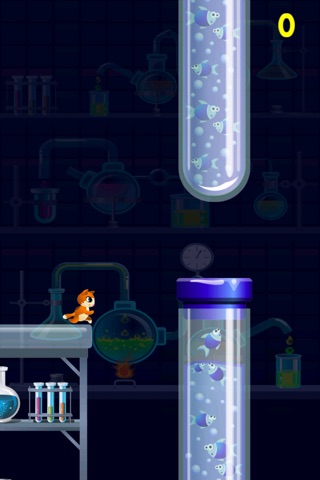 Kitty Cat Jump City - Don’t Get Boxed In Trying To Find Food screenshot 2