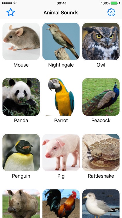 Animal Sounds Pro - Nature Voice Effects Simulator screenshot-3