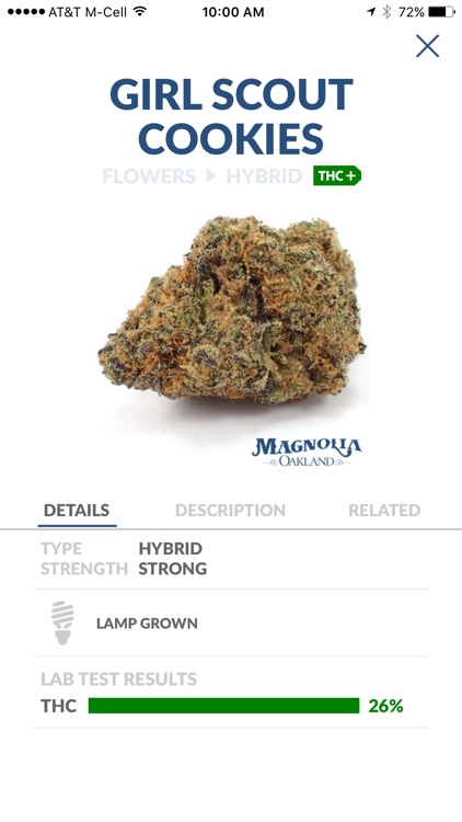 Magnolia Wellness Medical Marijuana Dispensary