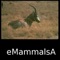 Mammals of Africa, Eurasia & Australia - An Old World Mammals App is a member of the World Life Forms family of products dedicated to providing easy to use, powerful reference and discovery tools for the animal and plant kingdoms