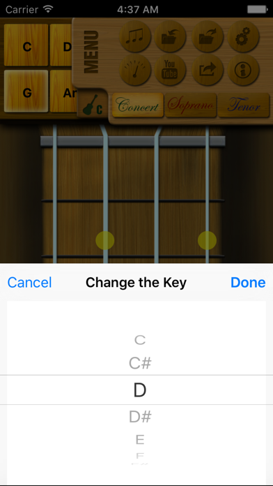 Screenshot #3 pour Play Ukulele