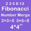 Number Merge Fibonacci 4X4 - Playing The Piano And Sliding Number Block