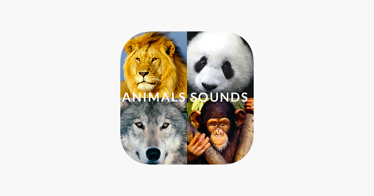 Диалоги о животных зоопарки. Приложение разговаривать с животными. Диалог зверей картинки. Fun animal Sounds приложение. Карта Денд разговор с животными.
