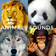 動物園動物的聲音 - 與動物交談，為成人和兒童的有趣的應用程序