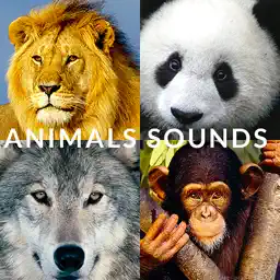 Animals Songs - Speaking with your animal, fun app for adults and kids app icon