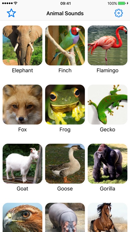 Animal Sounds Voice Effects Simulator for Toddler