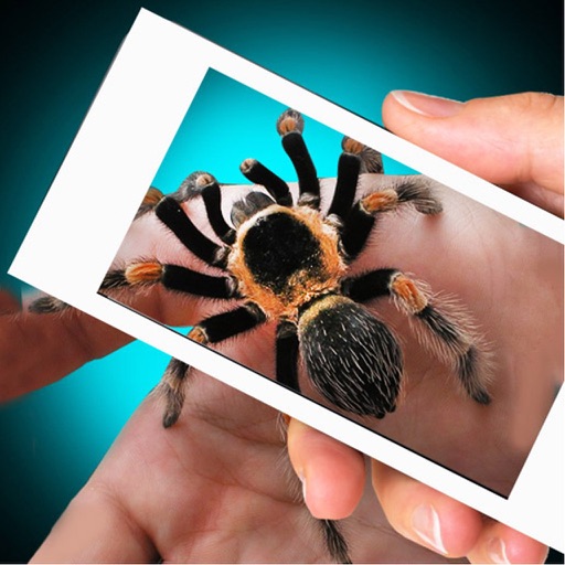 Scary Spider Hand Prank iOS App