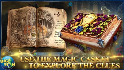 Living Legends: Bound by Wishes - A Hidden Object Mystery (Full) screenshot 3
