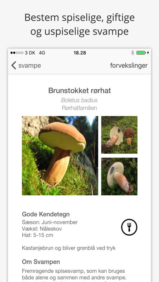 #2. SvampeGuide (iOS) By: Kristoffer Andreasen