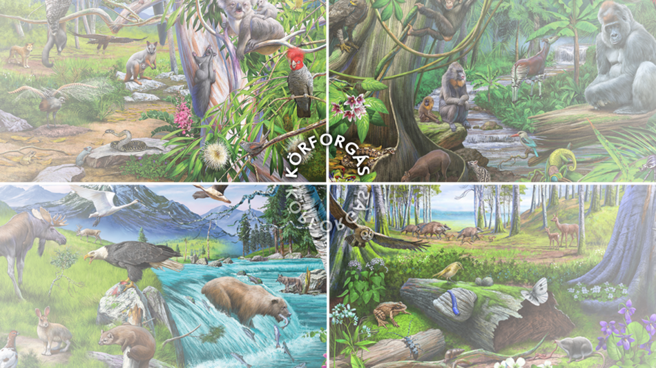 #2. Cycle Of Life 1. (iOS) 由: CreatIT Solutions