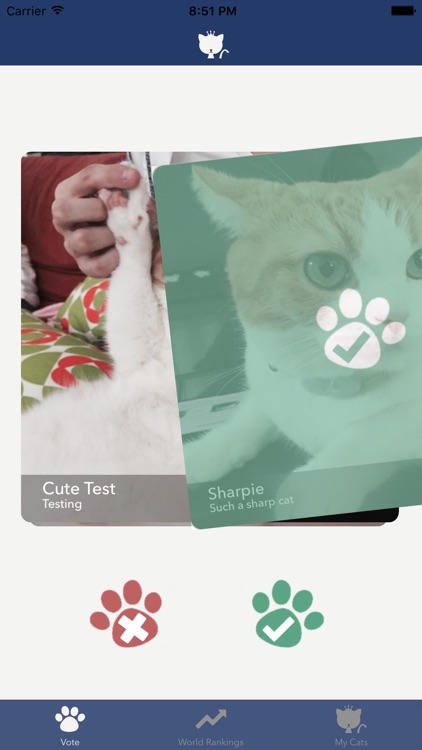 Cat of Cats - The Ultimate Cat Competition